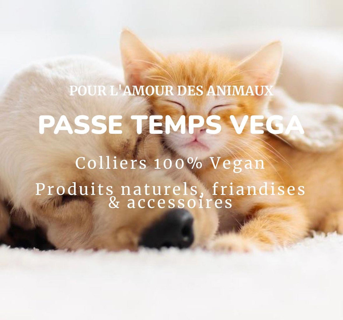 Passe Temps Vega